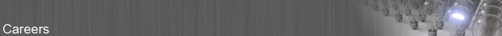 NextWave Wireless Careers